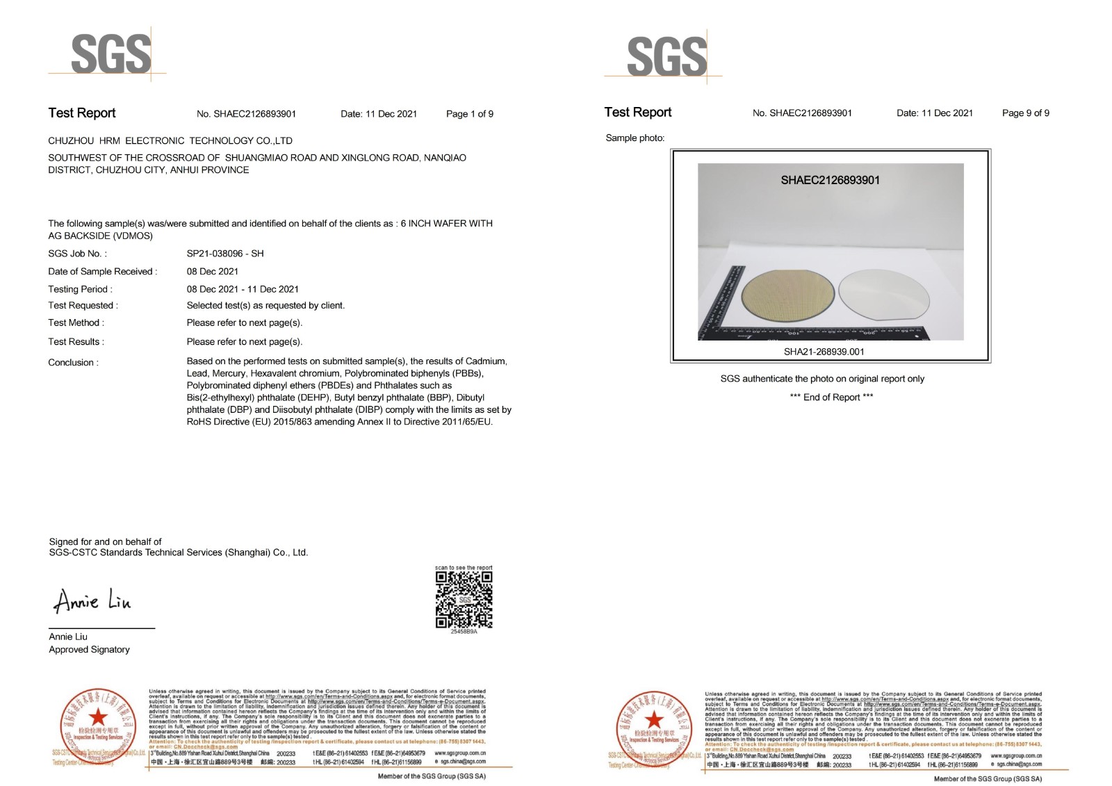 SGS报告-20231107_00.jpg